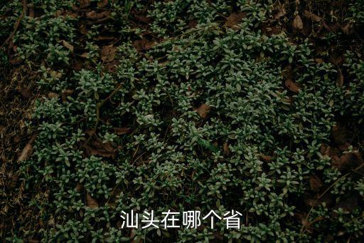 汕頭在哪，汕頭市在中國的哪個省份