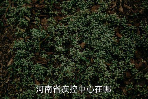 河南省疾控中心在哪