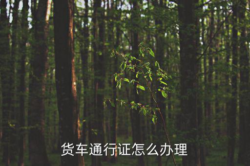 貨車通行證怎么辦理