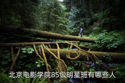 北京電影學院85級明星班有哪些人