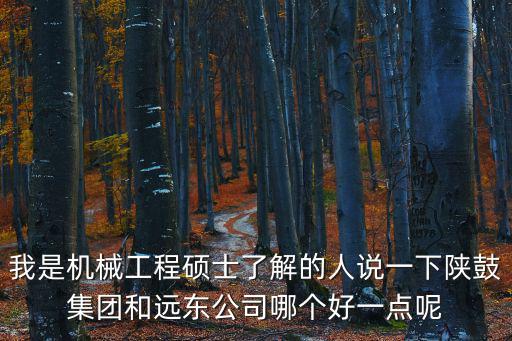 我是機(jī)械工程碩士了解的人說一下陜鼓集團(tuán)和遠(yuǎn)東公司哪個好一點(diǎn)呢