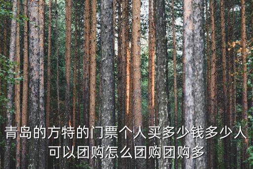 青島的方特的門票個人買多少錢多少人可以團購怎么團購團購多