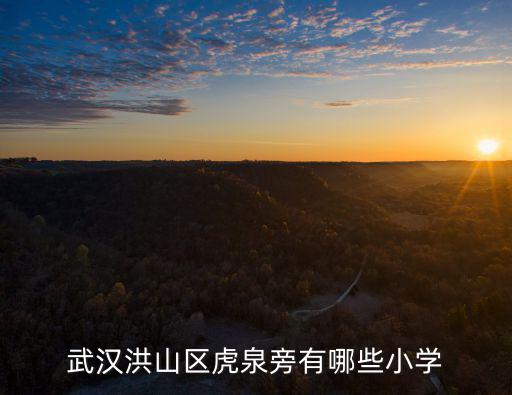 洪山區小學排名，武漢洪山區虎泉旁有哪些小學