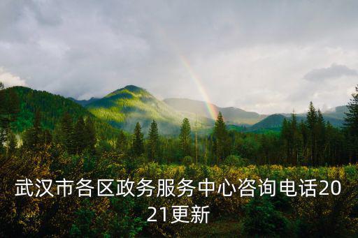 武漢市各區(qū)政務服務中心咨詢電話2021更新