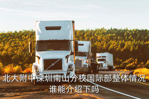 北大附中深圳南山分校國際部整體情況誰能介紹下嗎