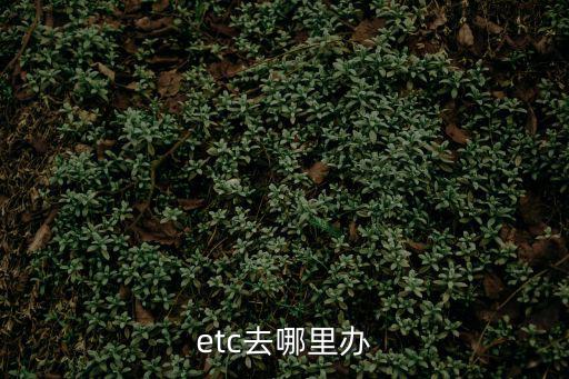 etc在哪里辦理，etc去哪里辦