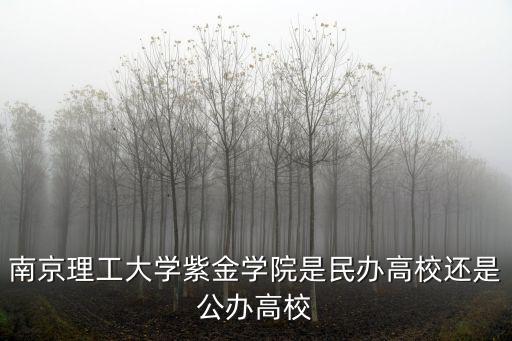 南京理工大學紫金學校官網，南京大學紫金學院的校園網