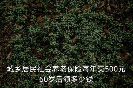 城鄉居民社會養老保險每年交500元60歲后領多少錢