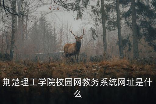 荊楚理工學院校園網教務系統網址是什么