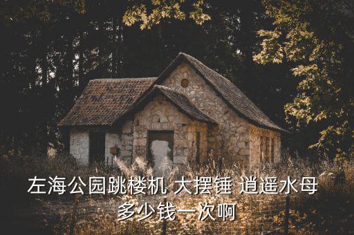 逍遙水母，左海公園跳樓機 大擺錘 逍遙水母 多少錢一次啊