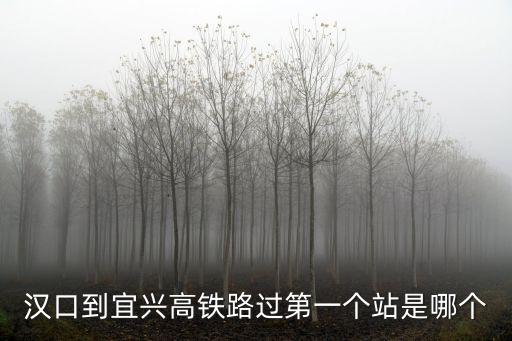 漢口到宜興高鐵路過第一個站是哪個