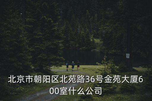 北京市朝陽區北苑路36號金苑大廈600室什么公司