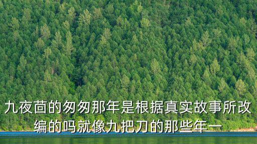 九夜茴的匆匆那年是根據(jù)真實(shí)故事所改編的嗎就像九把刀的那些年一