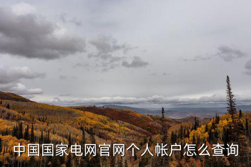 中國國家電網官網個人帳戶怎么查詢
