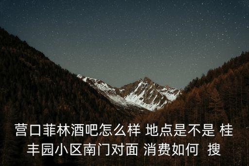 營口菲林酒吧怎么樣 地點是不是 桂豐園小區南門對面 消費如何  搜