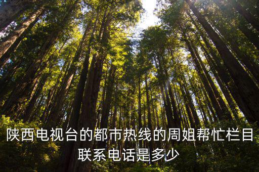 陜西電視臺的都市熱線的周姐幫忙欄目聯(lián)系電話是多少