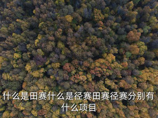什么是田賽什么是徑賽田賽徑賽分別有什么項目