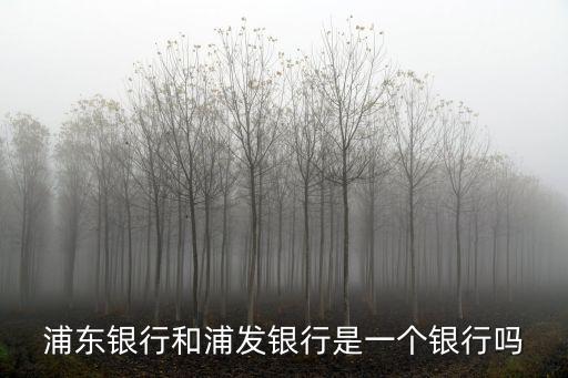 浦東銀行，浦發(fā)銀行在哪里