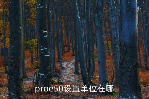 proe50設置單位在哪