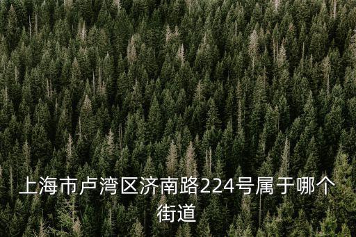 上海市盧灣區濟南路224號屬于哪個街道