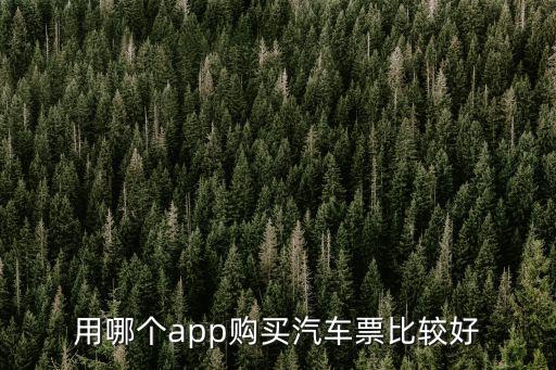 用哪個app購買汽車票比較好