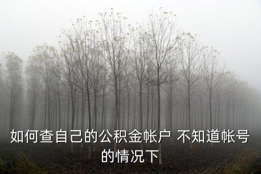 如何查自己的公積金帳戶 不知道帳號的情況下