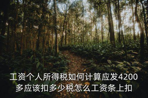 工資個(gè)人所得稅如何計(jì)算應(yīng)發(fā)4200多應(yīng)該扣多少稅怎么工資條上扣