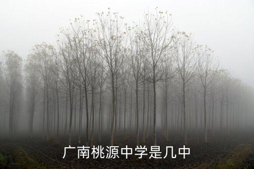 桃源中學，桃源中學高三復讀班怎么樣