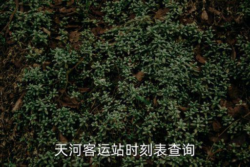 天河客運站時刻表查詢