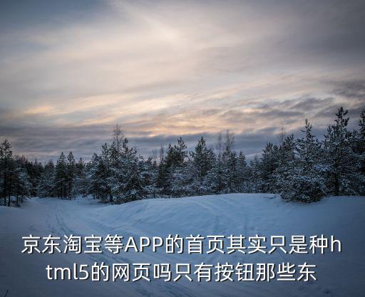 app首頁，京東淘寶等APP的首頁其實只是種html5的網頁嗎只有按鈕那些東
