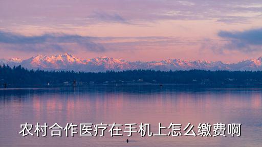 農(nóng)村合作醫(yī)療在手機(jī)上怎么繳費(fèi)啊