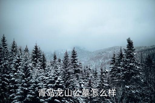 青島龍山公墓怎么樣