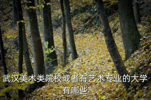 武漢美術學院，武漢美術類院?；蛘哂兴囆g專業的大學有哪些