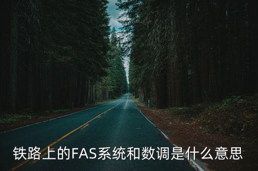 鐵路上的FAS系統(tǒng)和數(shù)調(diào)是什么意思