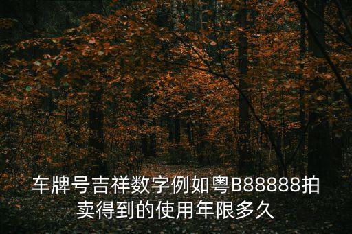 車牌號吉祥數字例如粵B88888拍賣得到的使用年限多久
