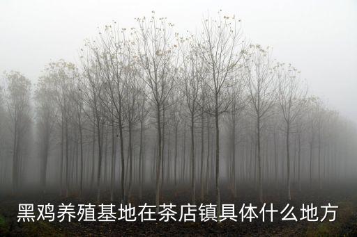 黑雞養殖基地在茶店鎮具體什么地方
