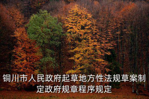 銅川市人民政府起草地方性法規草案制定政府規章程序規定