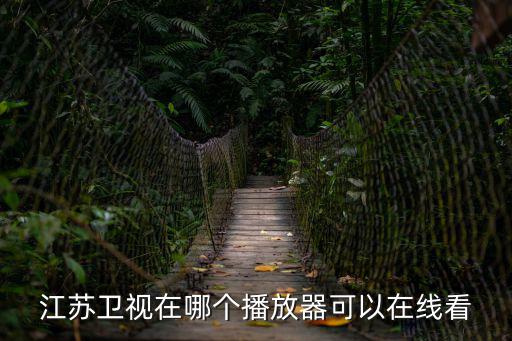 江蘇衛視在哪個播放器可以在線看