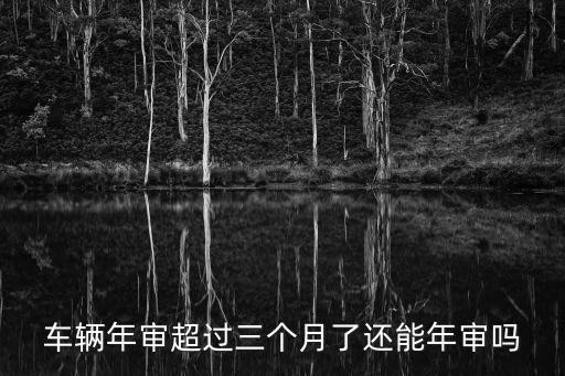 車輛年審超過三個(gè)月了還能年審嗎