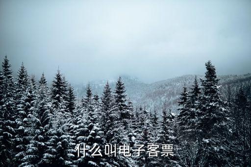 什么叫電子客票