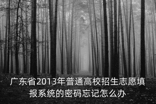 廣東省2013年普通高校招生志愿填報(bào)系統(tǒng)的密碼忘記怎么辦