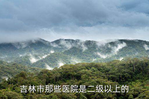 吉林市那些醫院是二級以上的