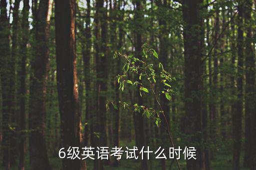 6級英語考試什么時候