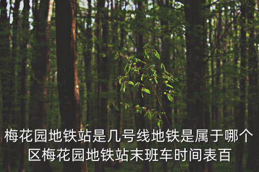 梅花園地鐵站是幾號線地鐵是屬于哪個區梅花園地鐵站末班車時間表百