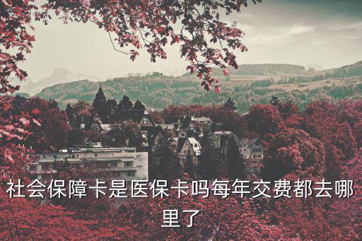 社會保障卡是醫保卡嗎每年交費都去哪里了