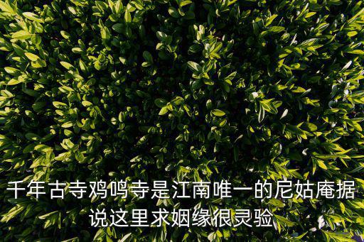 千年古寺雞鳴寺是江南唯一的尼姑庵據說這里求姻緣很靈驗