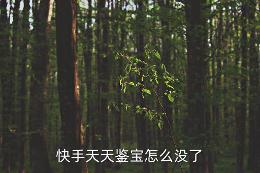 快手天天鑒寶怎么沒(méi)了