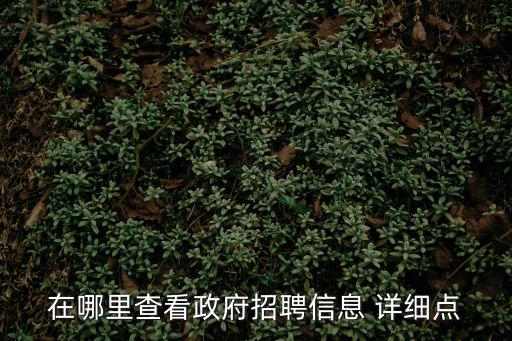 在哪里查看政府招聘信息 詳細(xì)點(diǎn)