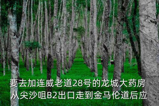 要去加連威老道28號(hào)的龍城大藥房 從尖沙咀B2出口走到金馬倫道后應(yīng)