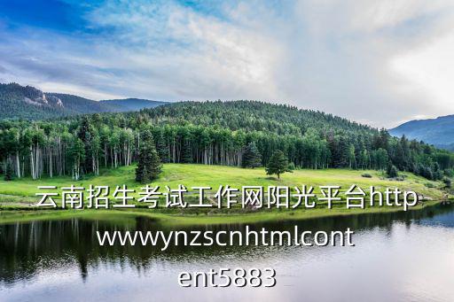 陽光招考網，高考實施陽光招考請問廣東省的錄取在那個網址能了解到實時錄取的信